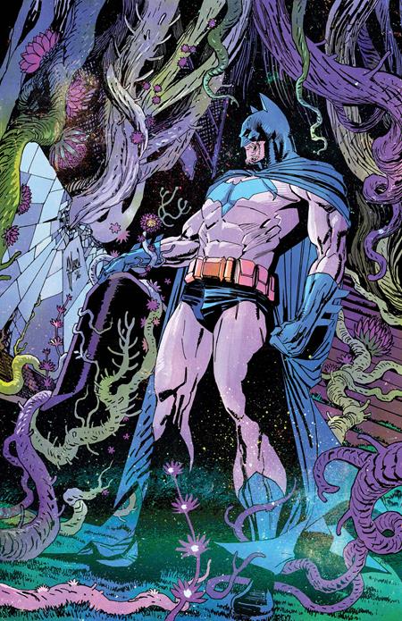 BATMAN #13 Bundle