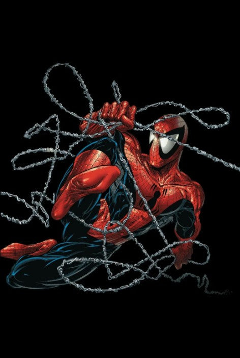 SPIDER-MAN #1 TODD MCFARLANE MEGACON FOIL EDITION